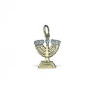 Goldfild Pendant with Menorah and Stones