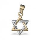 Goldfild Pendant with Two-Tone Star of David