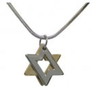 Rhodium Star of David Pendant with Gold-Colored Metal