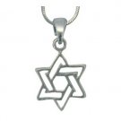 2 Centimeter Rhodium Pendant with Star of David