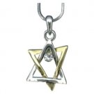 Rhodium Star of David Pendant in Gold and Silver