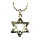 Rhodium Star of David Pendant with a unique etching design