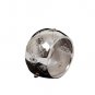 Hazorfim Sterling Silver Napkin Ring in Rose Design