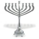 21 Centimeter Hanukkah Menorah in Nickel and Engravings
