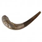 Ram Horn Shofar with Silver Plate and Thin Star of David