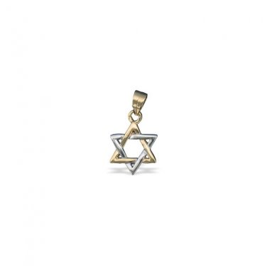 Goldfilled Pendant with Two-Tone Star of David