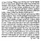 Sephardic Mehudar Mezuzah with Shema (12cm)