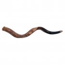 Hand Painted Yemenite Kudu Shofar with Moses and Tablets (Large)