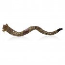 Kudu Shofar with Gold and Silver Decorated Sleeve