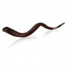 Kudu Horn Shofar with Leather Sleeve