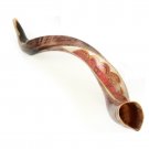 Yemenite Kudu Horn Shofar with Mosaic
