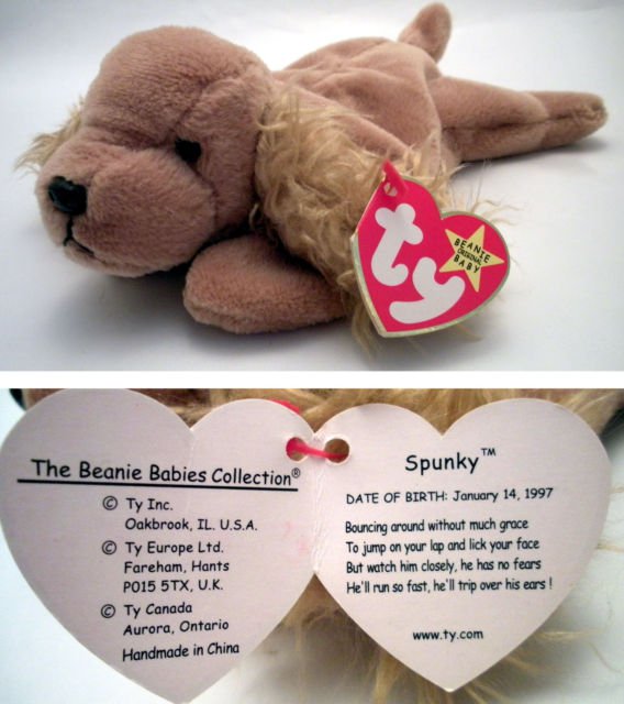 spunky beanie baby