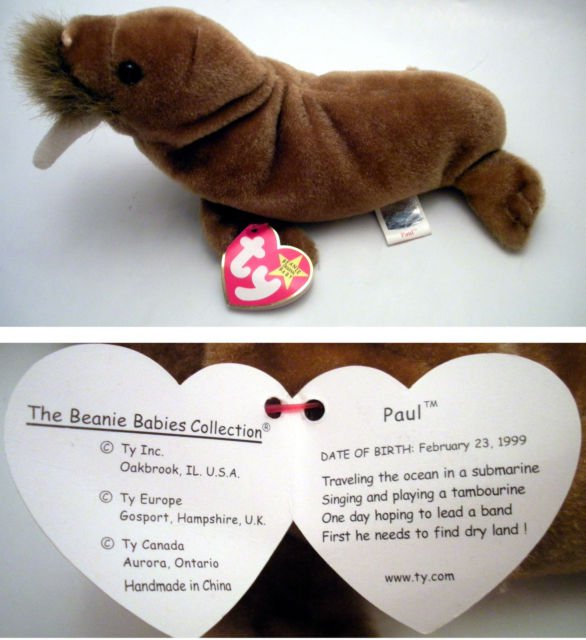 paul the walrus beanie baby