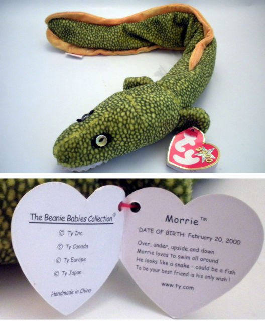 eel beanie baby