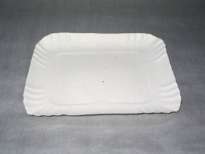 BANDEJA #1- CARTON