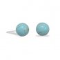 Turquoise Stud Earrings    64231