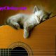 GUITAR PARTS