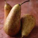 ANJOU PEAR 1oz - SAMPLE Candle Fragrance Oil FO - FREE USA SHIPPING