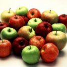 APPLE 1oz - SAMPLE Candle Fragrance Oil FO - FREE USA SHIPPING