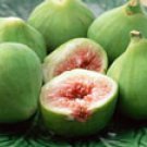 GREEN FIG 1oz - SAMPLE Candle Fragrance Oil FO - FREE USA SHIPPING