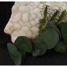 EUCALYPTUS THYME 4oz - Candle Fragrance Oil FO - FREE USA SHIPPING