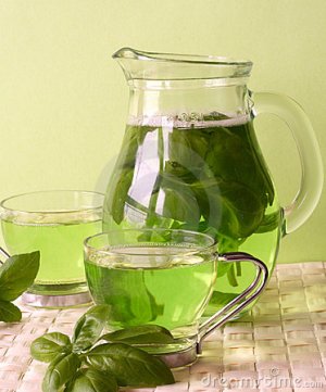 GREEN TEA 8oz - Candle Fragrance Oil FO - FREE USA SHIPPING