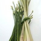 LEMONGRASS 4oz - Candle Fragrance Oil FO - FREE USA SHIPPING