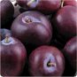 PLUM 8oz - Candle Fragrance Oil FO - FREE USA SHIPPING