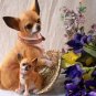 Chihuahua Figurine with Pup