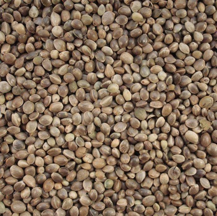 Hemp Seed Bird Parrot Food - Industrial Hemp - 400 Grams