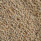 Perilla Seed White - Korean Wild Sesame - Perilla frutescens - 400 Grams