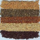 Millet - Bird Food Panicum Miliaceum - White, Black, Proso Red Seeds - 400 Grams