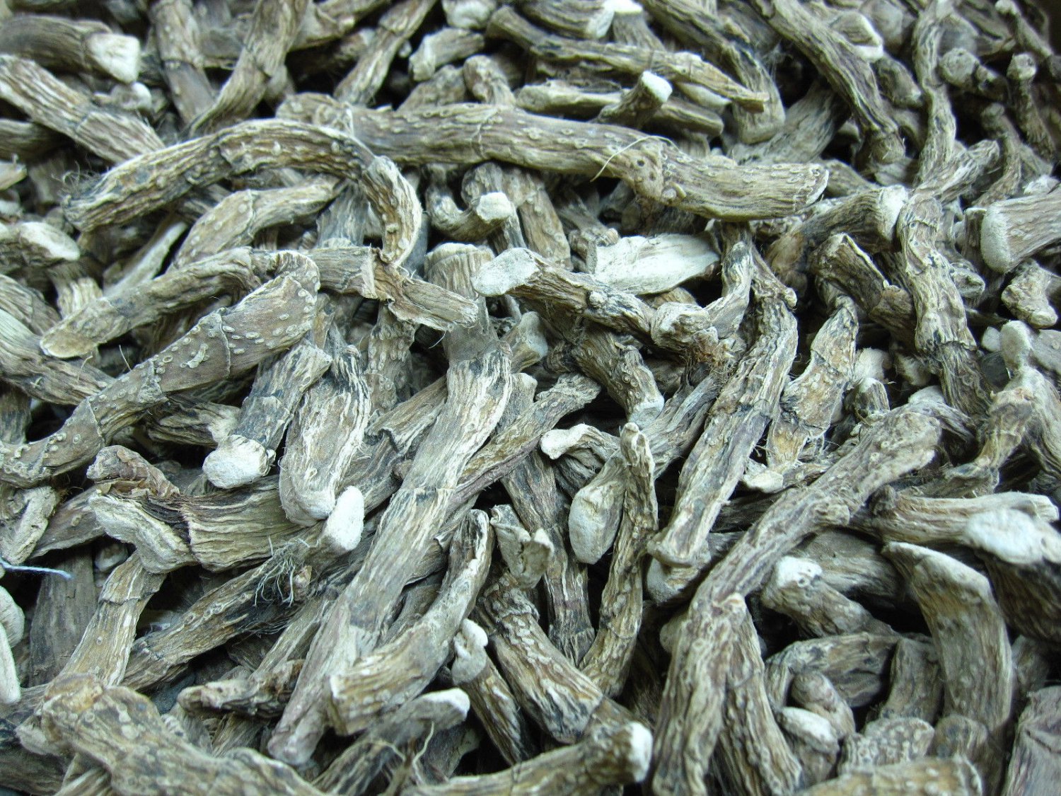 Sweet Flag - Acorus Calamus - Dried Roots Rhizome Turkey - 400 Grams