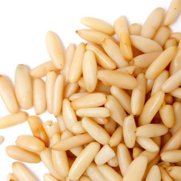 European Pine Nut Shelled Nuts Fresh and Organic from Turkey 400