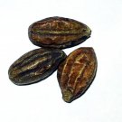 Terminalia Yellow and Black - Harde Chebula Haritaki Myrobalan Fudco - 400 Grams
