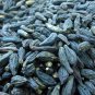 Terminalia Yellow and Black - Harde Chebula Haritaki Myrobalan Fudco - 400 Grams