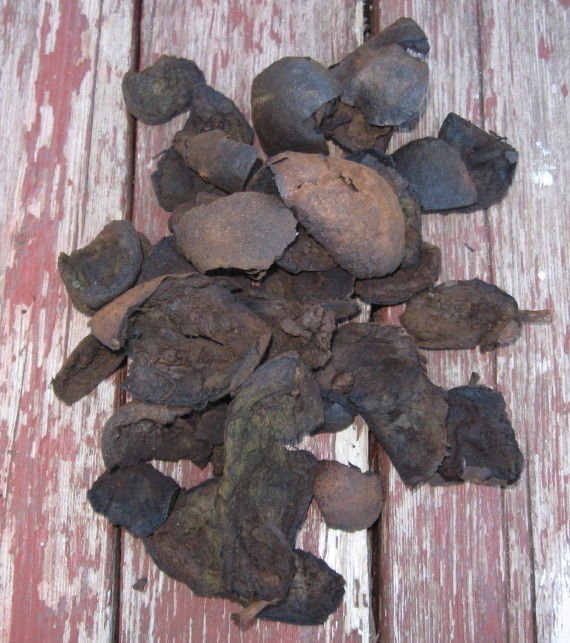 Walnut Hulls Dried - Black Common Juglans Regia Husk Ink - 400 Grams