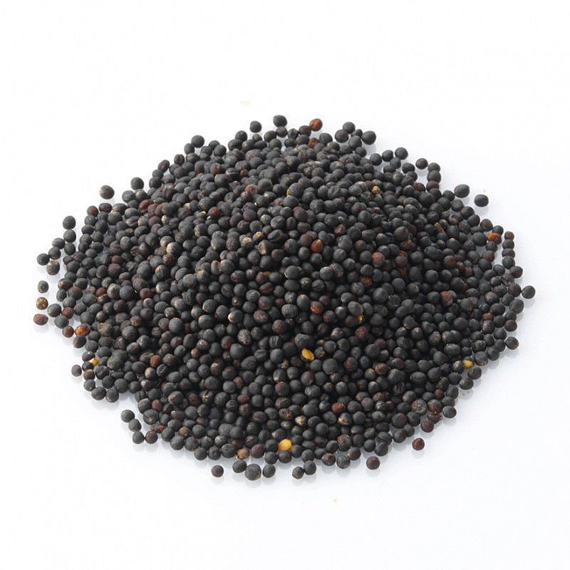Turnip Seeds - Brassica Rapa - Tea Brew - Deer Food - Game Feed - 400 Grams