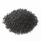 Turnip Seeds - Brassica Rapa - Tea Brew - Deer Food - Game Feed - 400 Grams