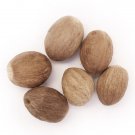 Nutmeg Whole and Dried - Fresh High Quality - 400 Grams