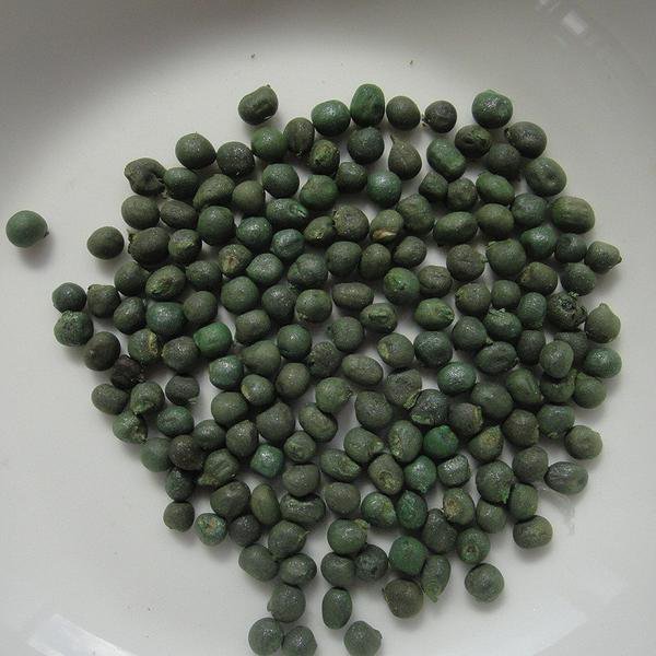 Okra Seeds Okro Ladies Fingers Caffeine Free Coffee Ochro 400 Grams