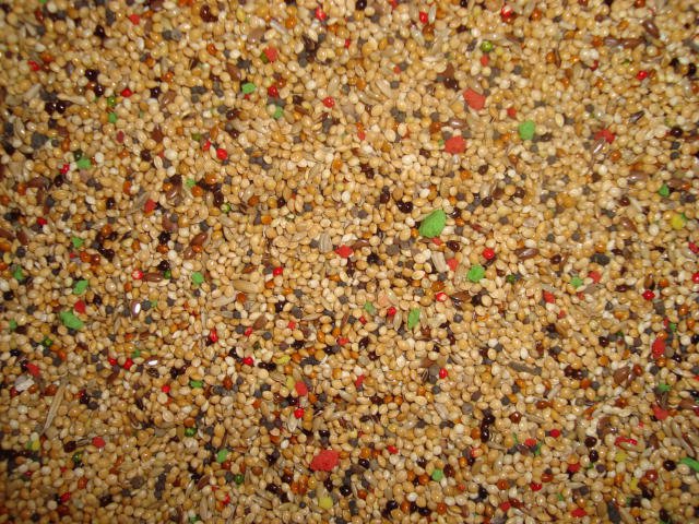 Bird Food Mix - Parakeet - Millet Safflower Flax Oat - 400 Grams