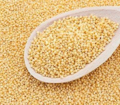 Hulled Millet - Organic Seeds - 400 Grams