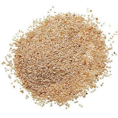 Poppy Whole - Yellow - 400 Grams