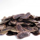 Senna Dried Pods - Detox Weight Loss Herbal Tea - 400 Grams