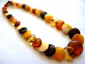 Baltic Amber Multicolor Calibrated Disc Necklace