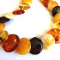 Baltic Amber Multicolor Calibrated Disc Necklace