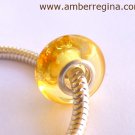 Baltic amber champagne European Charm Silver bead