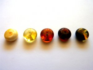 Baltic Amber Loose Pierced Beads: Butterscotch, Yellow, Cognac, Cherry, Green