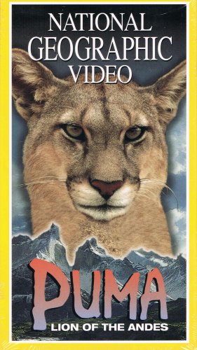 puma video puma video